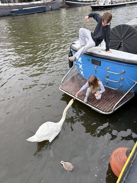 Two children are seen on a canal boat in Oudeschans, Uilenburg, Amsterdam, actively feeding a large white swan and its cygnet